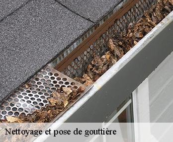 Nettoyage et pose de gouttière Eure 