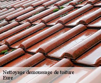 Nettoyage demoussage de toiture