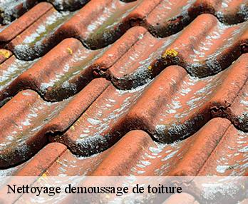 Nettoyage demoussage de toiture Eure 