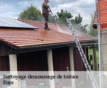 Nettoyage demoussage de toiture Eure 