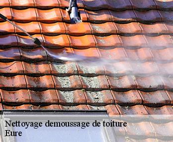 Nettoyage demoussage de toiture Eure 
