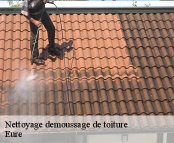 Nettoyage demoussage de toiture