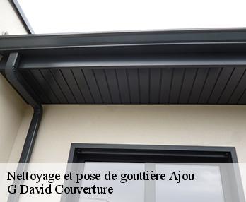 Nettoyage et pose de gouttière
