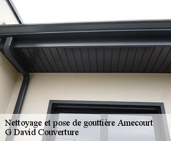 Nettoyage et pose de gouttière