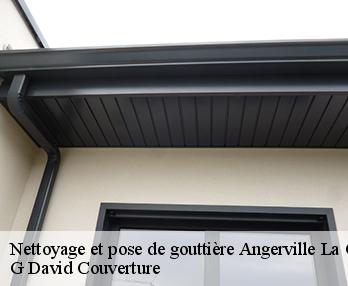 Nettoyage et pose de gouttière