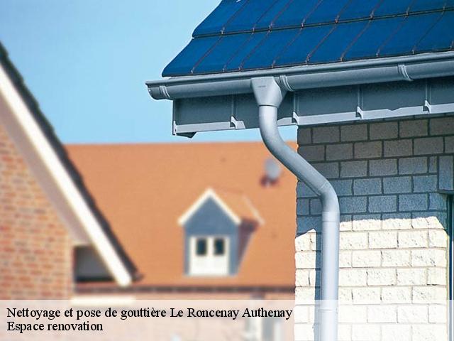 Nettoyage et pose de gouttière  le-roncenay-authenay-27240 Espace renovation