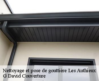 Nettoyage et pose de gouttière