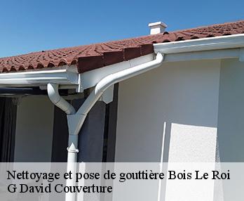 Nettoyage et pose de gouttière  bois-le-roi-27220 G David Couverture
