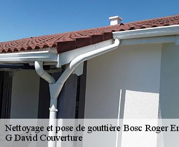Nettoyage et pose de gouttière  bosc-roger-en-roumois-27670 G David Couverture