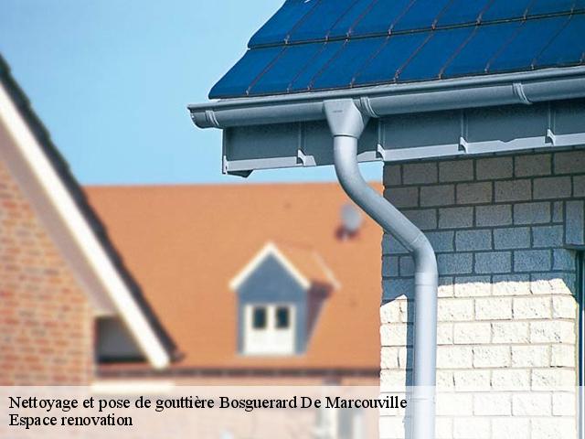 Nettoyage et pose de gouttière  bosguerard-de-marcouville-27520 Espace renovation
