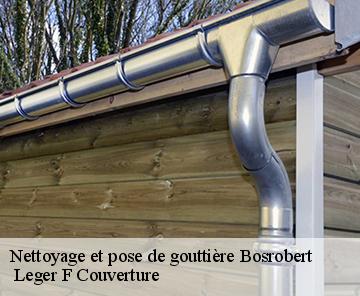 Nettoyage et pose de gouttière  bosrobert-27800 Espace renovation