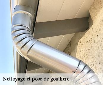 Nettoyage et pose de gouttière