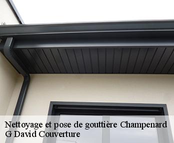 Nettoyage et pose de gouttière