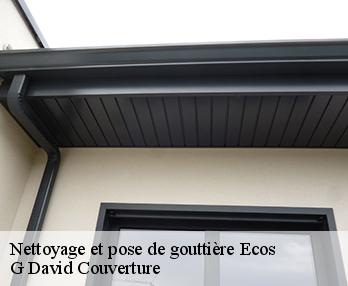 Nettoyage et pose de gouttière