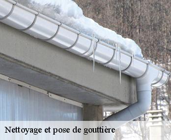 Nettoyage et pose de gouttière