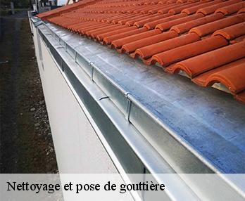 Nettoyage et pose de gouttière  27760