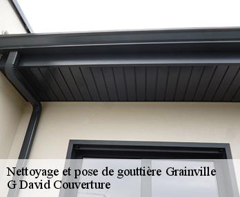 Nettoyage et pose de gouttière