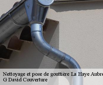 Nettoyage et pose de gouttière  27350