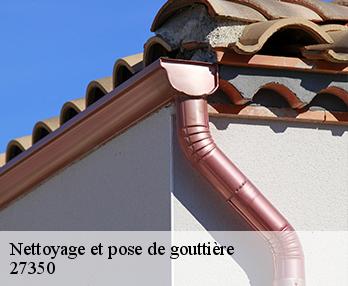 Nettoyage et pose de gouttière  27350