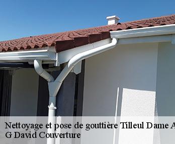 Nettoyage et pose de gouttière tilleul-dame-agnes-27170 G David Couverture