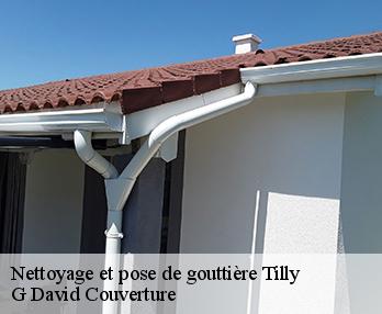 Nettoyage et pose de gouttière tilly-27510 G David Couverture
