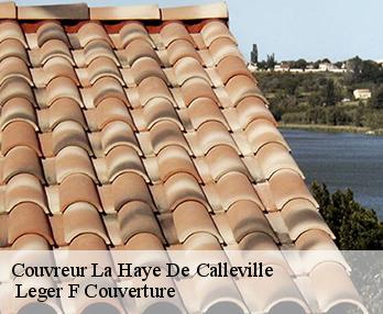 Couvreur 27800