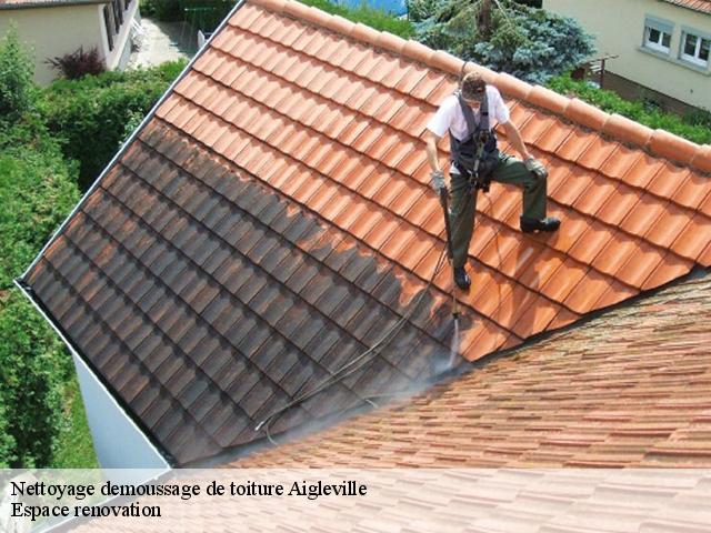 Nettoyage demoussage de toiture  aigleville-27120 Espace renovation