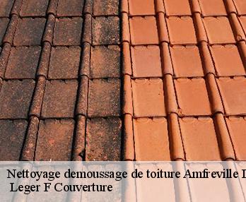 Nettoyage demoussage de toiture 27370