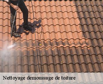 Nettoyage demoussage de toiture