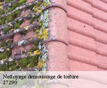 Nettoyage demoussage de toiture  27290