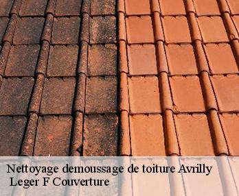Nettoyage demoussage de toiture 27240