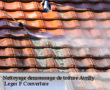 Nettoyage demoussage de toiture  avrilly-27240 Espace renovation