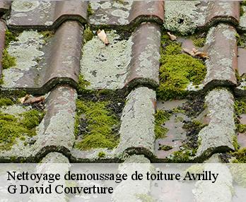 Nettoyage demoussage de toiture