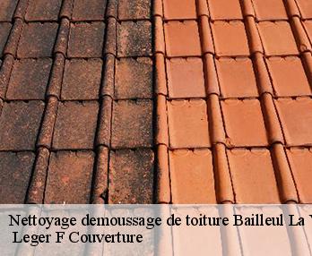 Nettoyage demoussage de toiture  27260