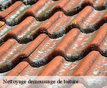 Nettoyage demoussage de toiture  27260