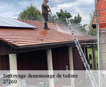 Nettoyage demoussage de toiture  27260