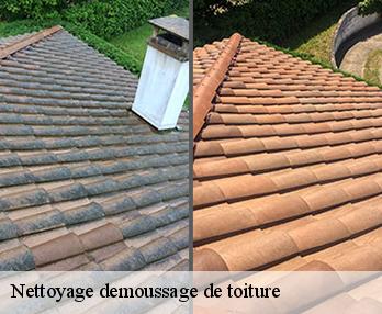 Nettoyage demoussage de toiture