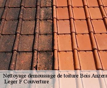 Nettoyage demoussage de toiture  27330