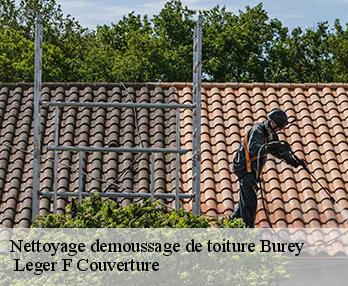 Nettoyage demoussage de toiture