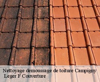 Nettoyage demoussage de toiture 27500