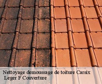 Nettoyage demoussage de toiture 27300