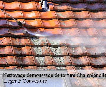 Nettoyage demoussage de toiture  champignolles-27330  Leger F Couverture