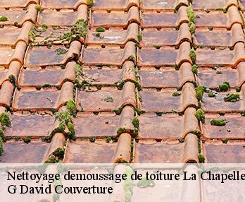 Nettoyage demoussage de toiture 27930