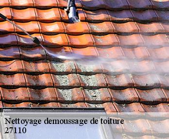 Nettoyage demoussage de toiture 27110