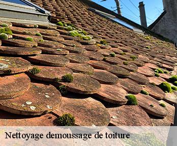 Nettoyage demoussage de toiture 27110