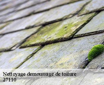 Nettoyage demoussage de toiture 27110