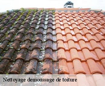 Nettoyage demoussage de toiture