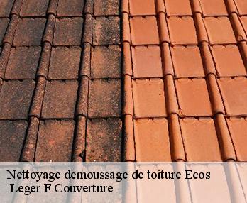 Nettoyage demoussage de toiture 27630