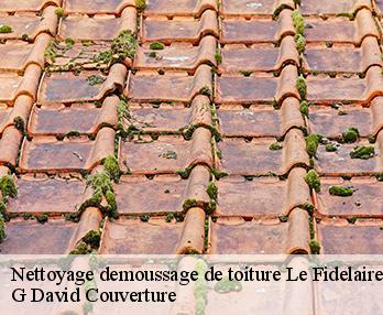 Nettoyage demoussage de toiture  27190