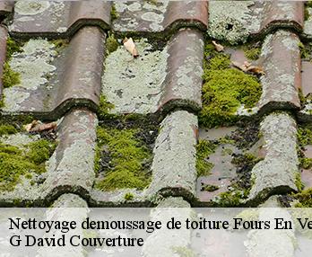 Nettoyage demoussage de toiture